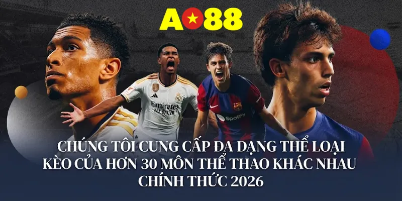 Chúng tôi cung cấp đa dạng thể loại kèo của hơn 30 môn thể thao khác nhau