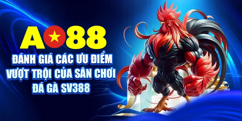 Đánh giá các ưu điểm vượt trội của sân chơi Đá Gà SV388